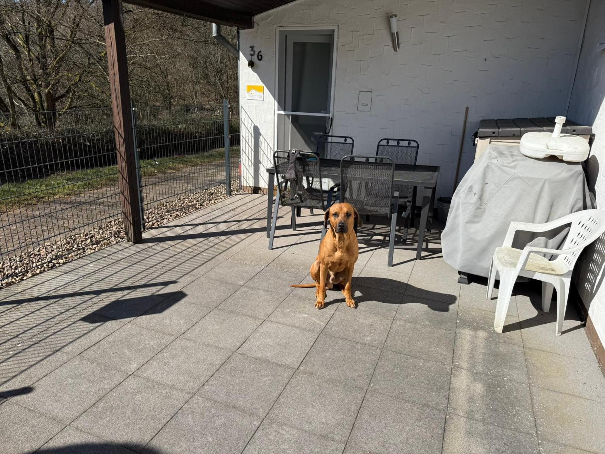 Ferienhaus Stausee Bitburg Biersdorf am See Luaran gambar